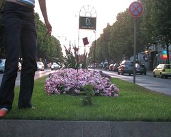 NFA* I. ILLUSIONEN GÄRTNERISCHER IDYLLE - NFA* I. ILLUSIONEN GÄRTNERISCHER IDYLLE