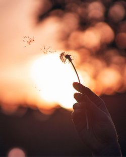 ENDlich leben - ENDlich leben