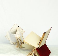Ursula Palla, Blume und Buch, Videoinstallation, 2016-17