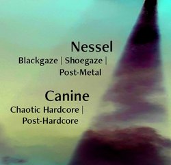 Nessel & Canine & Haexler