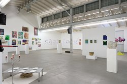 Eröffnung der Teilnehmendenausstellung und Abschlussfest der 24. Internationalen Dresdner Sommerakademie für Bildende Kunst