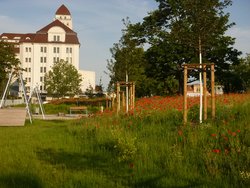 Grüne Freiräume in der Friedrichstadt