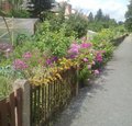 Gartenworkshop Lieblingspflanzen leicht vermehren