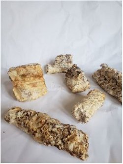 Plastisches Arbeiten mit Pilzmyzel - Plastisches Arbeiten mit Pilzmyzel