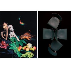 Nadin Maria Rüfenacht, HELDEN (Triptychon Teil 1, aus der Serie NATURE MORTE 1), 2005, Lambda-Print, 125×100,5 cm (links); OKINAVA, aus der Serie BATAILLE, 2015, C-Print, 140×100 cm (rechts)