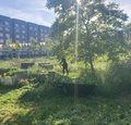 Naturnahes Gärtner-Gärtner für smarte Faule