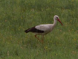 Fokus EWELINA ROSIŃSKA - Fokus EWELINA ROSIŃSKA