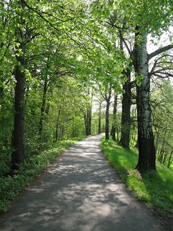 Alte Pfade neu betreten – Erkundungen in der Friedrichstadt
