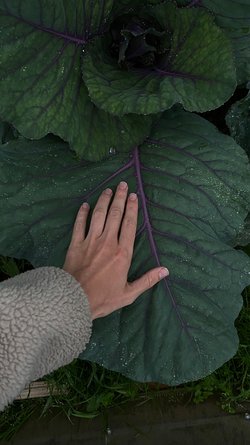 Gartenzeit: Permakultur 1 Gartenzeit: Permakultur 1 - Gartenzeit: Permakultur 1