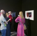 Dozent:innenausstellung Internationale Dresdner Sommerakademie für Bildende Kunst