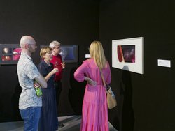 Dozent:innenausstellung Internationale Dresdner Sommerakademie für Bildende Kunst - Dozent:innenausstellung Internationale Dresdner Sommerakademie für Bildende Kunst