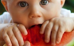 Familien-Themencafé: Beikost/ Baby-Led-Weaning mit Fingerfood zum Ausprobieren