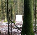 Andreas Kempe “Wild Cube ... den Habicht in den Wald bringen“