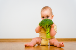Familien-Thementreff: Beikost entspannt starten Familien-Thementreff: Beikost entspannt starten - Familien-Thementreff: Beikost entspannt starten