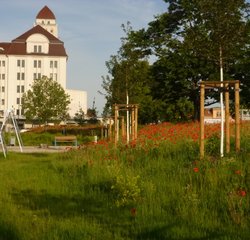 Spaziergang Grüne Friedrichstadt