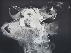 Tanja Pohl // "Garten Paria"