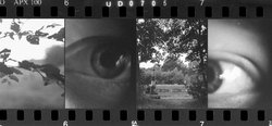 Lomografie: Experimentelle Split-Fotografie 2 - Lomografie: Experimentelle Split-Fotografie 2