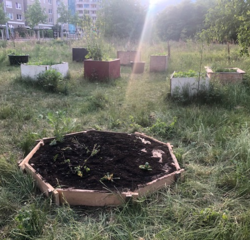 Gartenworkshop: Mutter Erde, Vater Boden