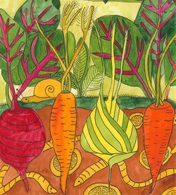 Gartenworkshop: Permakultur