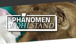 Phänomen Wohlstand