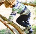 Familien-Thementreff: Wurzeln und Flügel