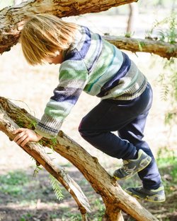 Familien-Thementreff: Wurzeln und Flügel - Familien-Thementreff: Wurzeln und Flügel