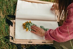 Familiensamstag: Herbarium anlegen