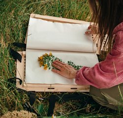 Familiensamstag: Herbarium anlegen