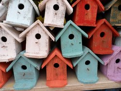 Gartenworkshop: Vogelhaus bauen