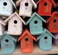 Gartenworkshop: Vogelhaus bauen