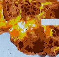 ROUND ABOUT ART #1