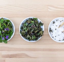 Gartenworkshop: Geschenke aus dem Garten