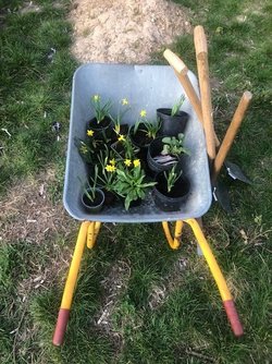 Gartenwerkstatt für Kinder Gartenwerkstatt für Kinder - Gartenwerkstatt für Kinder