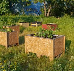 Offene Gartenzeit