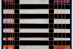 Ariane Koch, Stripes X