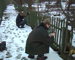 NFA* II. GUERRILLA CITY GARDENING & ... ABY SI LIDI VŠIMLI - NFA* II. GUERRILLA CITY GARDENING & ... ABY SI LIDI VŠIMLI