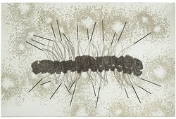 Šimon Brejcha, CENTIPEDE WITH BLACK DESIGNED NAILS, 2012, Tiefdruck und Siebdruck, 120 x 200 cm