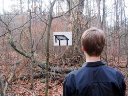 Andreas Kempe “Wild Cube ... den Habicht in den Wald bringen“