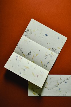 Dein Blütenpapier selber herstellen Dein Blütenpapier selber herstellen - Dein Blütenpapier selber herstellen