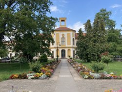 Grüne Friedrichstadt - Grüne Friedrichstadt