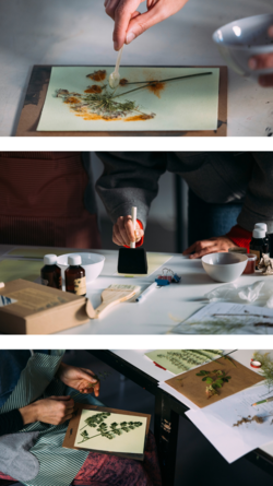 kreative Cyanotypie kreative Cyanotypie - kreative Cyanotypie