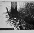 INGO GARSCHE - VERNISSAGE