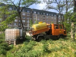Schwammstadt und Schwammgarten - Schwammstadt und Schwammgarten