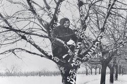 Monogramista T.D / Dezider Tóth, Snow on the Tree, 1970