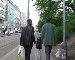 NFA* I. ILLUSIONEN GÄRTNERISCHER IDYLLE - NFA* I. ILLUSIONEN GÄRTNERISCHER IDYLLE