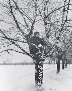 Monogramista T.D / Dezider Tóth, Snow on the Tree, 1970