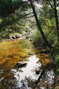 Grüne Friedrichstadt Grüne Friedrichstadt - Grüne Friedrichstadt