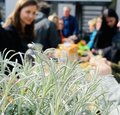Plaudern, Pingpong, Pläne schmieden