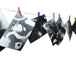 Die Magie des Zufalls: Fotografische Experimente mit Pflanzen - analog und digital Die Magie des Zufalls: Fotografische Experimente mit Pflanzen - analog und digital - Foto: Lenka TrÄková