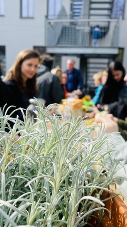 Sommer-Tauschmarkt & Frühstück im Kiez - Sommer-Tauschmarkt & Frühstück im Kiez